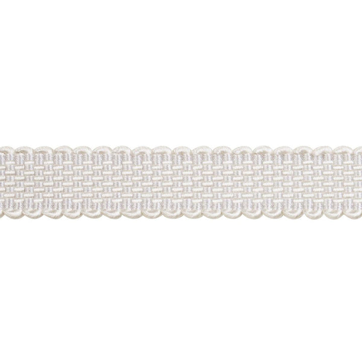 Frances Silk Gimp Grey 83361 by Schumacher Designer Trim Patterson Flynn - Swanky Fabrics -
