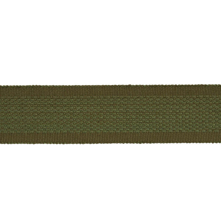 Cardiff Tape Green 83383 by Schumacher Designer Trim Patterson Flynn 1.0" - Swanky Fabrics -