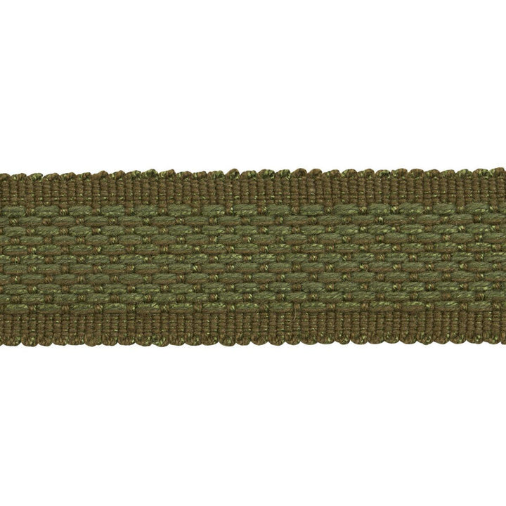 Cardiff Tape Medium Green 83393 by Schumacher Designer Trim Patterson Flynn 1.0" - Swanky Fabrics -
