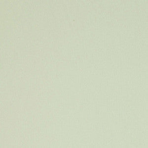 Schumacher Fabric Elliott Brushed Cotton Chamois 69494