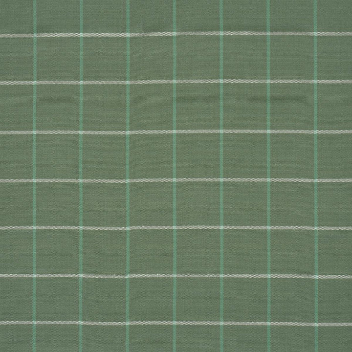 Frannie Windowpane Green 83783 by Schumacher Designer Fabric Mark D. Sikes 3.0" - Swanky Fabrics -