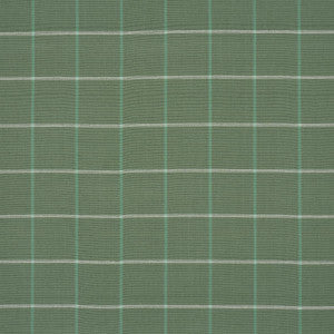 Schumacher Fabric Frannie Windowpane Green 83783