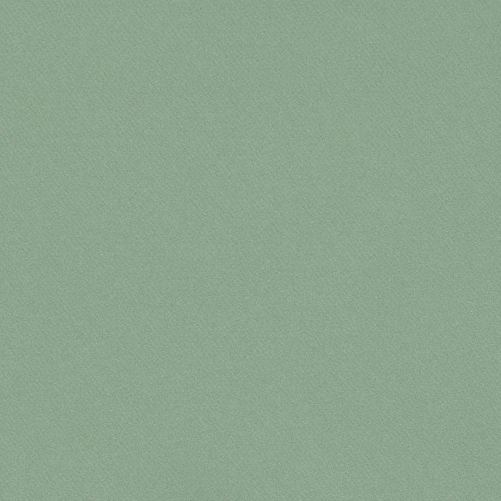 Blake Polished Cotton Sage 69568 by Schumacher Designer Fabric PERFECT BASICS: BLAKE See Sample INDIA MEDIUM </p><p>Repeat: Horizontal: - and Vertical: - 55 1/2" (141CM) - Swanky Fabrics -