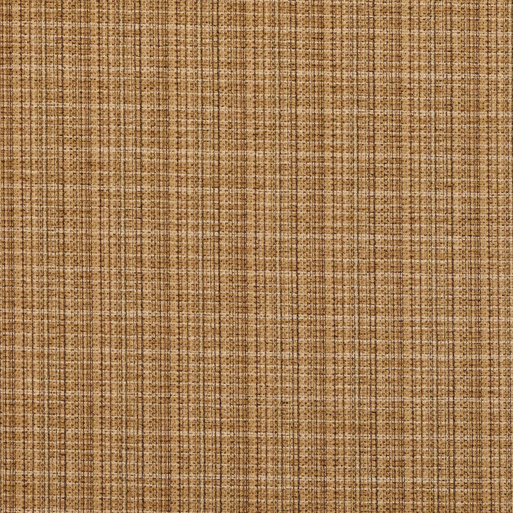 6956 Straw by Charlotte Designer Fabric Ring Book Page #24A 100% Woven Polyester Asia Exceeds 70,000 Wyzenbeek Rubs (Heavy Duty) Horizontal: 2" x Vertical: 2" 54 Inches - Swanky Fabrics -