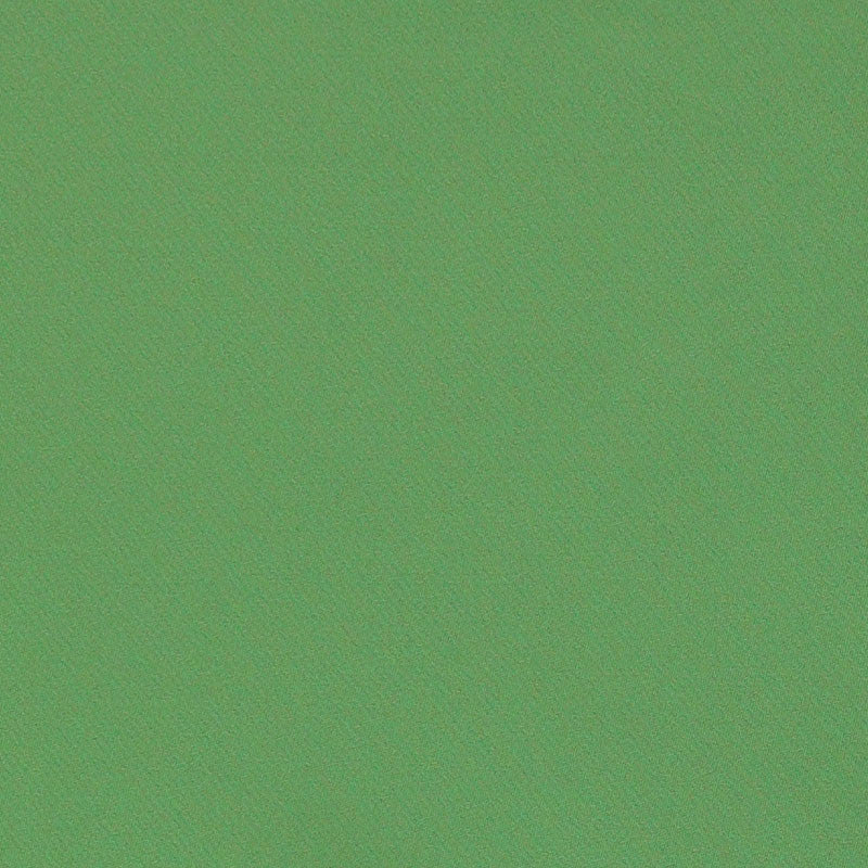 Blake Polished Cotton Grass 69593 by Schumacher Designer Fabric PERFECT BASICS: BLAKE See Sample INDIA MEDIUM </p><p>Repeat: Horizontal: - and Vertical: - 55 1/2" (141CM) - Swanky Fabrics -
