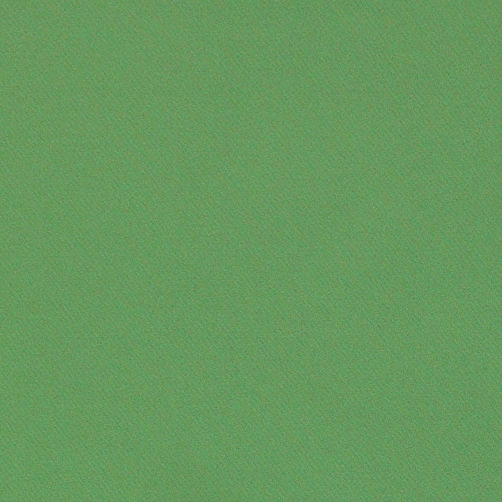 Blake Polished Cotton Grass 69593 by Schumacher Designer Fabric PERFECT BASICS: BLAKE See Sample INDIA MEDIUM </p><p>Repeat: Horizontal: - and Vertical: - 55 1/2" (141CM) - Swanky Fabrics -