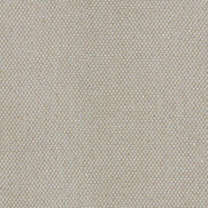Schumacher Fabric Giorgio Sheer Platinum 69680