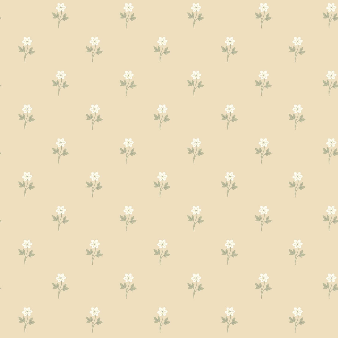 Schumacher Wallcovering Anemone By Boråstapeter - Wheat