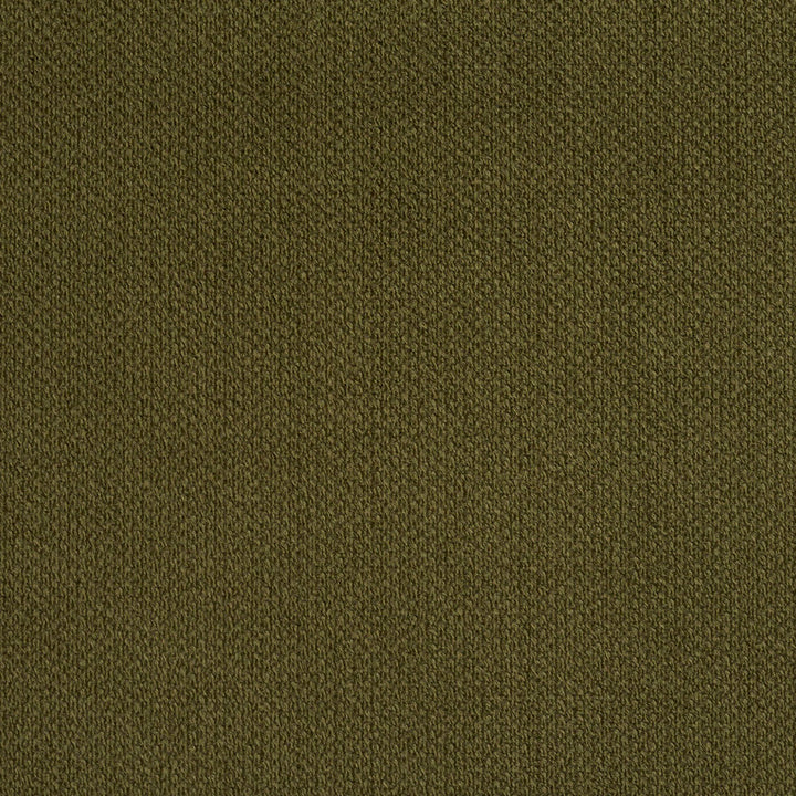 6972 Sage by Charlotte Designer Fabric Ring Book Page #25A 100% Woven Polyester Asia Exceeds 140,000 Wyzenbeek Rubs (Heavy Duty) </p><p>Repeat: 54 Inches - Swanky Fabrics -