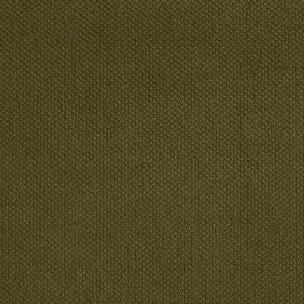 6972 Sage by Charlotte Designer Fabric Ring Book Page #25A 100% Woven Polyester Asia Exceeds 140,000 Wyzenbeek Rubs (Heavy Duty) No Repeat 54 Inches - Swanky Fabrics -
