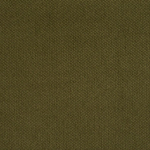 Charlotte Fabric 6972 Sage