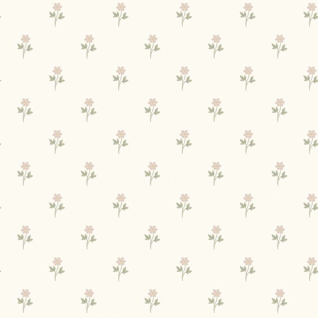 Schumacher Wallcovering Anemone By Boråstapeter - Blush