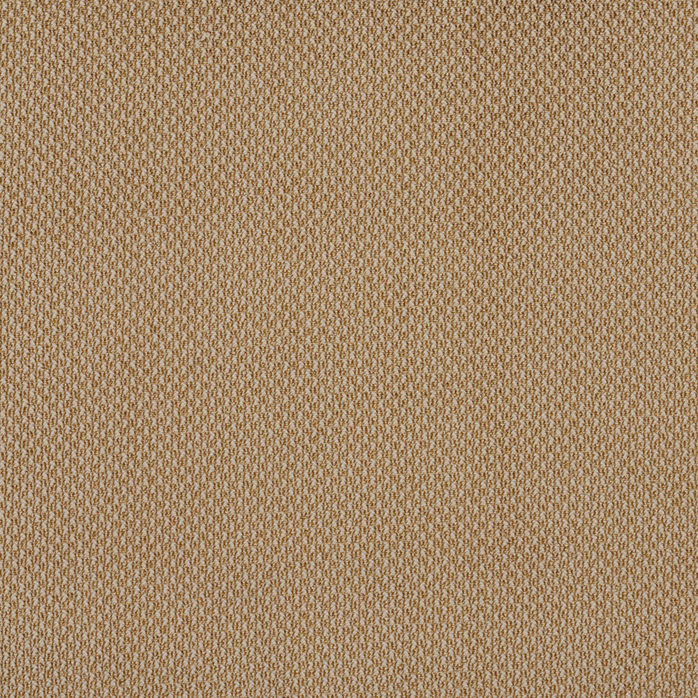 6973 Fawn by Charlotte Designer Fabric Ring Book Page #25A 100% Woven Polyester Asia Exceeds 140,000 Wyzenbeek Rubs (Heavy Duty) No Repeat 54 Inches - Swanky Fabrics -