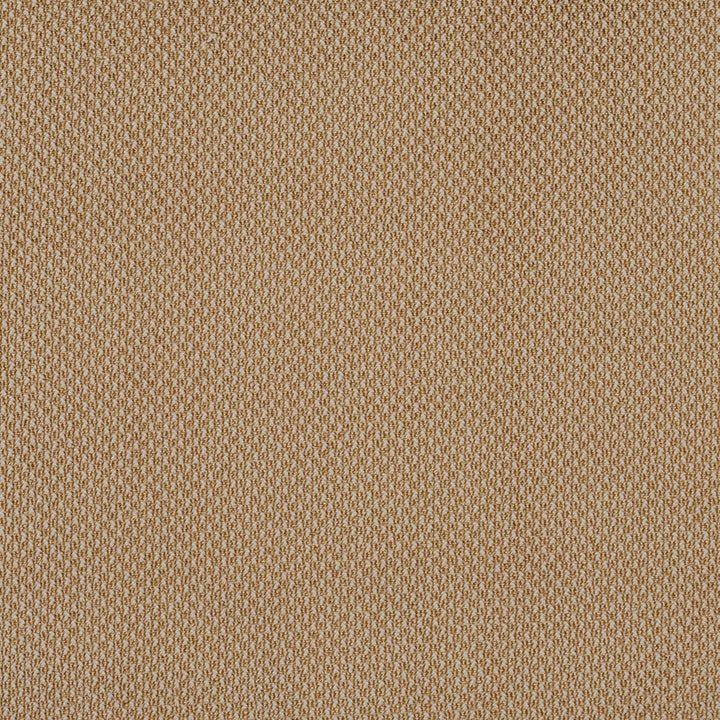 6973 Fawn by Charlotte Designer Fabric Ring Book Page #25A 100% Woven Polyester Asia Exceeds 140,000 Wyzenbeek Rubs (Heavy Duty) No Repeat 54 Inches - Swanky Fabrics -
