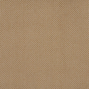 Charlotte Fabric 6973 Fawn