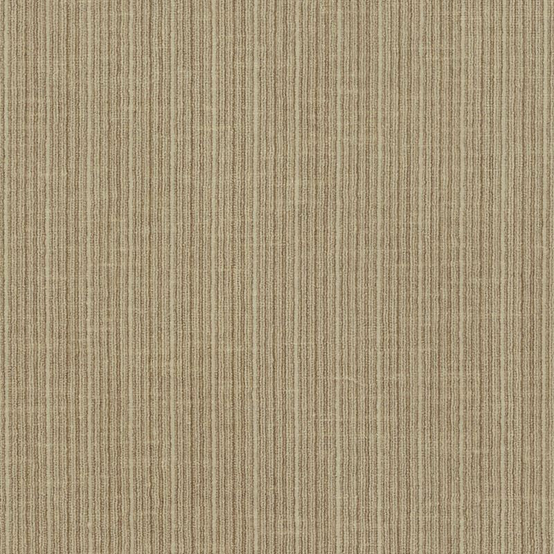 Antique Strie Velvet Sparrow 69741 by Schumacher Designer Fabric Perfect-Basics-Antique-Strie-Velvet 65% Cotton, 35% Viscose Wyzenbeek 100,000 Horizontal: - and Vertical: - 54 - Swanky Fabrics -