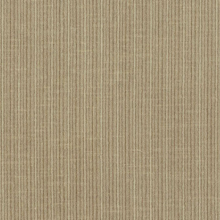 Antique Strie Velvet Sparrow 69741 by Schumacher Designer Fabric Perfect-Basics-Antique-Strie-Velvet 65% Cotton, 35% Viscose Wyzenbeek 100,000 Horizontal: - and Vertical: - 54 - Swanky Fabrics -