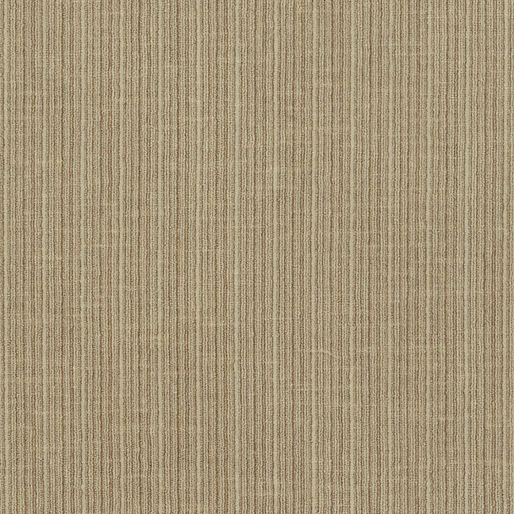 Antique Strie Velvet Sparrow 69741 by Schumacher Fabric Schumacher Fabric Antique Strie Velvet Sparrow 69741Fabric COTTON 65% UNITED STATES OF AMERICA </p><p>Repeat: H: , V: 54 - Fabric Carolina -