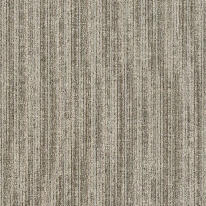 Antique Strie Velvet Driftwood 69742 by Schumacher Designer Fabric Perfect-Basics-Antique-Strie-Velvet 65% Cotton, 35% Viscose Wyzenbeek 100,000 Horizontal: - and Vertical: - 54 - Swanky Fabrics -