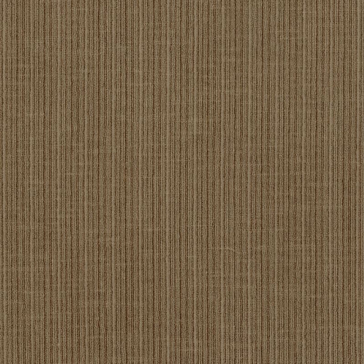 Antique Strie Velvet Antelope 69762 by Schumacher Designer Fabric Perfect-Basics-Antique-Strie-Velvet 65% Cotton, 35% Viscose Wyzenbeek 100,000 Horizontal: - and Vertical: - 54 - Swanky Fabrics -