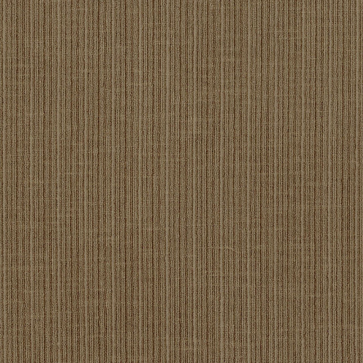 Antique Strie Velvet Antelope 69762 by Schumacher Fabric Schumacher Fabric Antique Strie Velvet Antelope 69762Fabric COTTON 65% UNITED STATES OF AMERICA </p><p>Repeat: H: , V: 54 - Fabric Carolina -