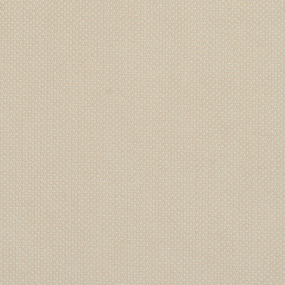 6977 Ivory by Charlotte Designer Fabric Ring Book Page #25A 100% Woven Polyester Asia Exceeds 140,000 Wyzenbeek Rubs (Heavy Duty) No Repeat 54 Inches - Swanky Fabrics -