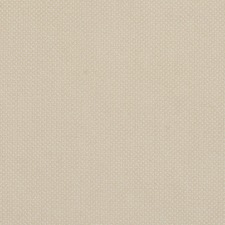 6977 Ivory by Charlotte Designer Fabric Ring Book Page #25A 100% Woven Polyester Asia Exceeds 140,000 Wyzenbeek Rubs (Heavy Duty) No Repeat 54 Inches - Swanky Fabrics -