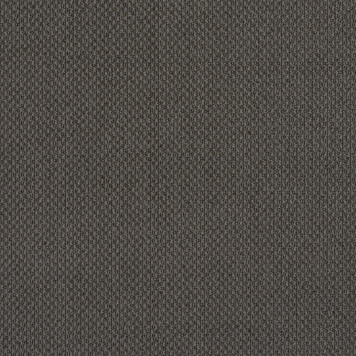 6979 Slate by Charlotte Designer Fabric Ring Book Page #25A 100% Woven Polyester Asia Exceeds 140,000 Wyzenbeek Rubs (Heavy Duty) </p><p>Repeat: 54 Inches - Swanky Fabrics -