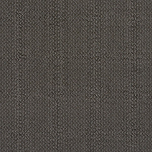 Charlotte Fabric 6979 Slate