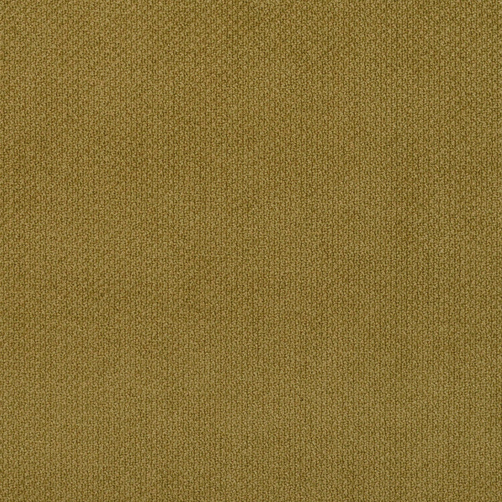 6981 Fern by Charlotte Designer Fabric Ring Book Page #25A 100% Woven Polyester Asia Exceeds 140,000 Wyzenbeek Rubs (Heavy Duty) No Repeat 54 Inches - Swanky Fabrics -