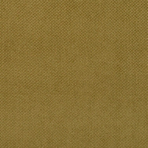 Charlotte Fabric 6981 Fern