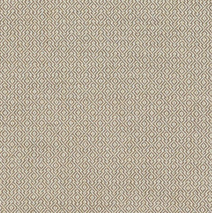 Schumacher Fabric Mamet Stone 69830