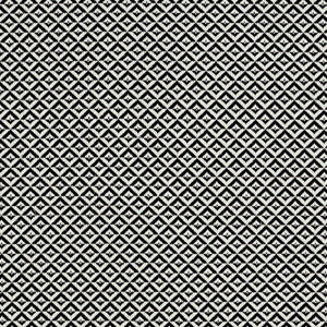 Schumacher Fabric Jamison Black 69845
