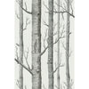 Cole & Son Wallpaper Woods Onyx/White