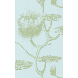 Cole & Son Wallpaper Lily Sage/Pale Blue
