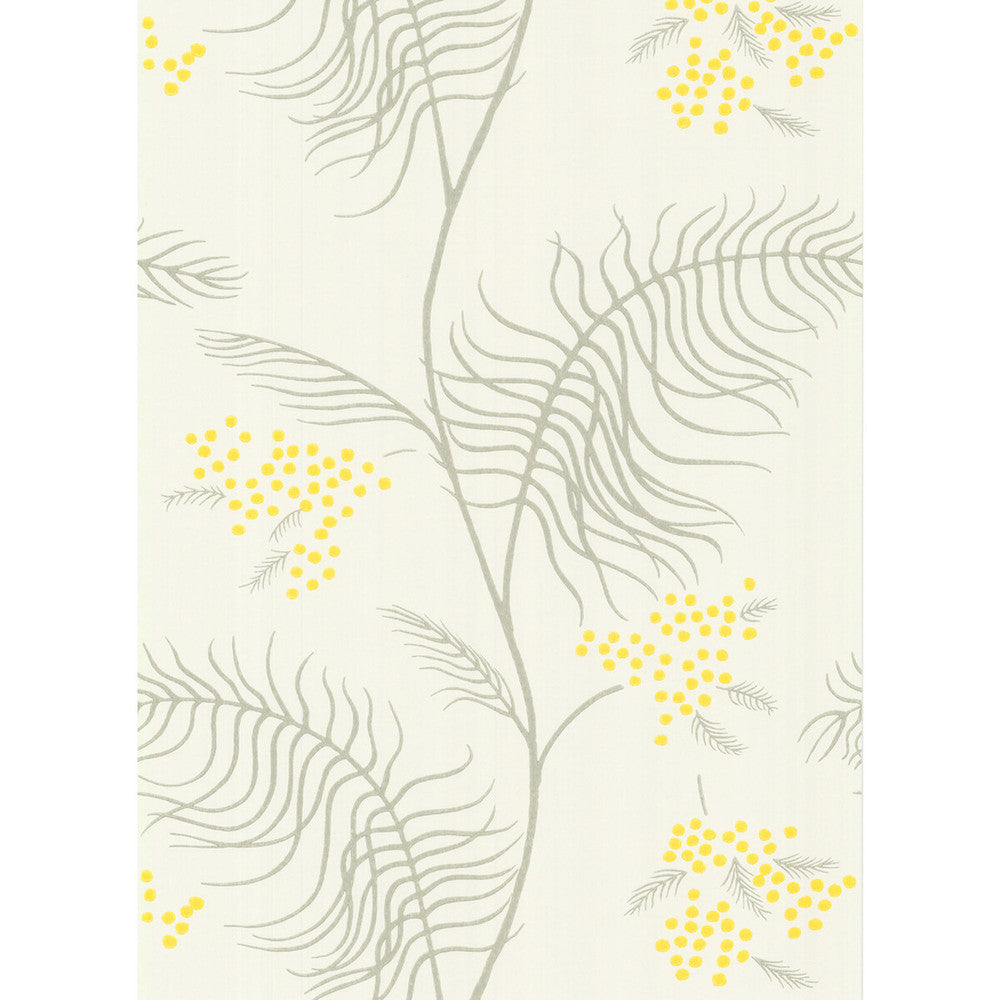 Mimosa White by Cole & Son Wallcovering Cole & Son Wallcovering Mimosa WhiteWallcovering COLE & SON NEW CONTEMPORARY II PAPER - 100% United Kingdom </p><p>Repeat: H: , V: 24 20.5 - Fabric Carolina -