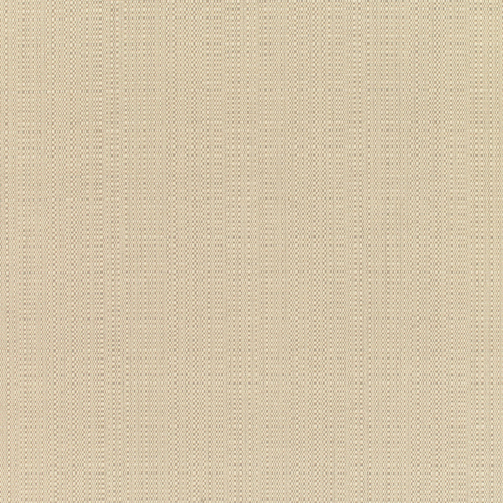 8300 77 Rain Linen Champagne by Sunbrella Designer Fabric Sunbrella Rain 100% Sunbrella® Acrylic USA or Imported 5-Year Horizontal: and Vertical: 60 yd. 54 in. - Swanky Fabrics -