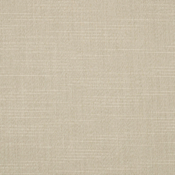 4862 Silica Silver by Sunbrella Designer Fabric Sunbrella Awning / Marine 46 in. Solids 100% Sunbrella® Acrylic USA or Imported 10-Year Horizontal: and Vertical: 46 in. - Swanky Fabrics -