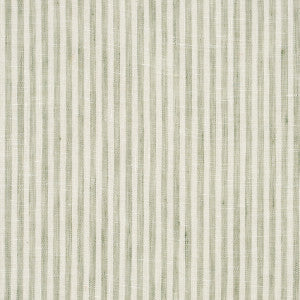 Schumacher Fabric Tori Stripe Sheer Sage 70069