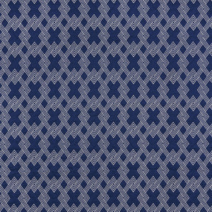Schumacher Fabric Hix Navy 70142