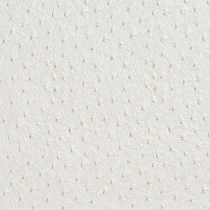 Charlotte Fabric 7017 Pearl