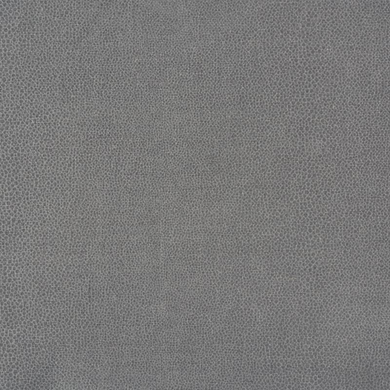 Gloss Shagreen Nickel 70383 by Schumacher Designer Fabric Understated-Luxury 55% Viscose, 30% Polyester, 15% Linen - Horizontal: - and Vertical: - 55 - Swanky Fabrics -