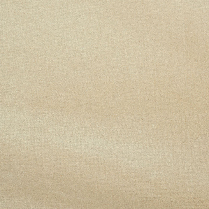 Venetian Silk Velvet Pearl 70420 by Schumacher Designer Fabric Perfect-Basics-Venetian-Silk-Velvet 51% Silk, 49% Cotton Martindale 20,000 Horizontal: - and Vertical: - 55 - Swanky Fabrics -