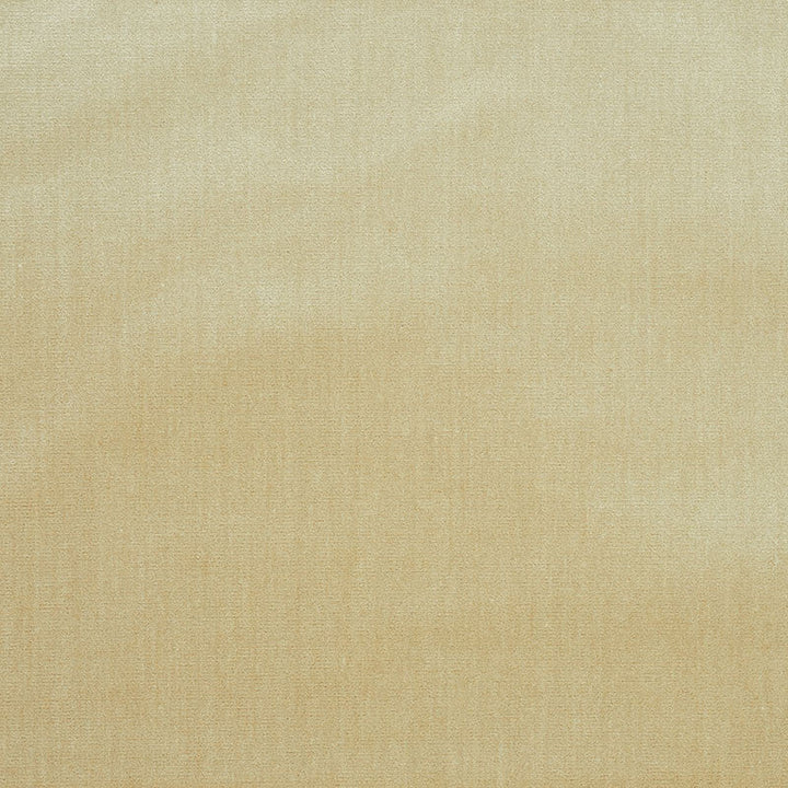 Venetian Silk Velvet Oyster 70422 by Schumacher Designer Fabric Perfect-Basics-Venetian-Silk-Velvet 51% Silk, 49% Cotton Martindale 20,000 Horizontal: - and Vertical: - 559140CM0 - Swanky Fabrics -
