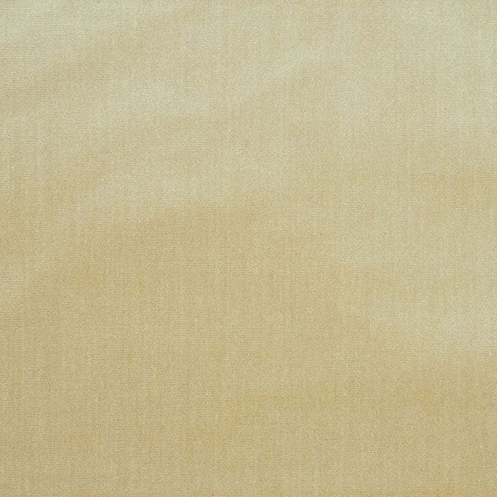 Venetian Silk Velvet Oyster 70422 by Schumacher Designer Fabric PERFECT BASICS SILK 51% COTTON 49% ITALY MARTINDALE 20,000 </p><p>Repeat: Horizontal: and Vertical: 55 - Swanky Fabrics -