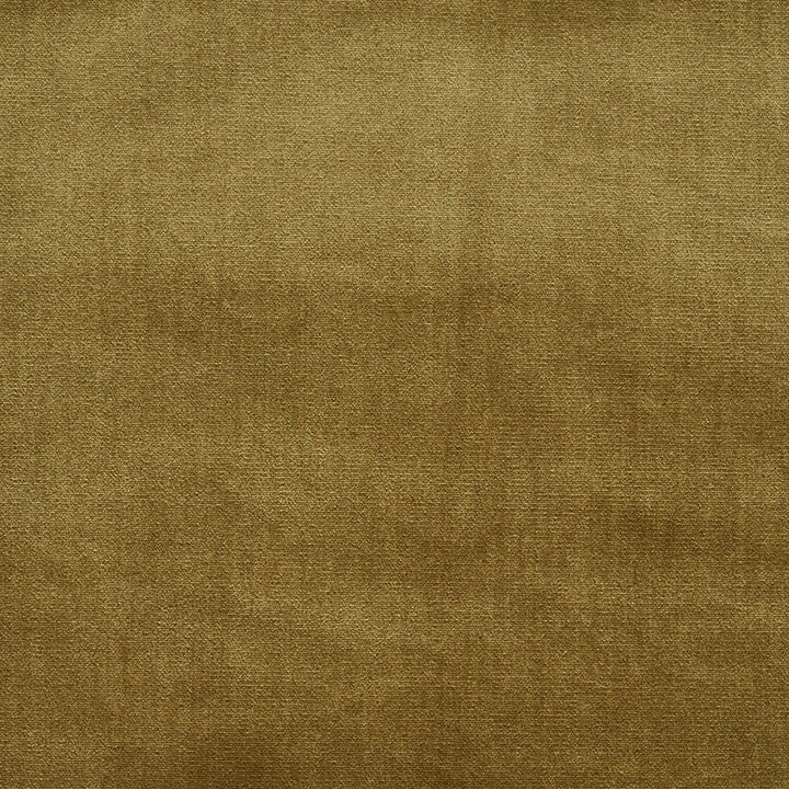 Venetian Silk Velvet Hazel 70423 by Schumacher Designer Fabric Perfect-Basics-Venetian-Silk-Velvet 51% Silk, 49% Cotton Martindale 20,000 Horizontal: - and Vertical: - 55 - Swanky Fabrics -