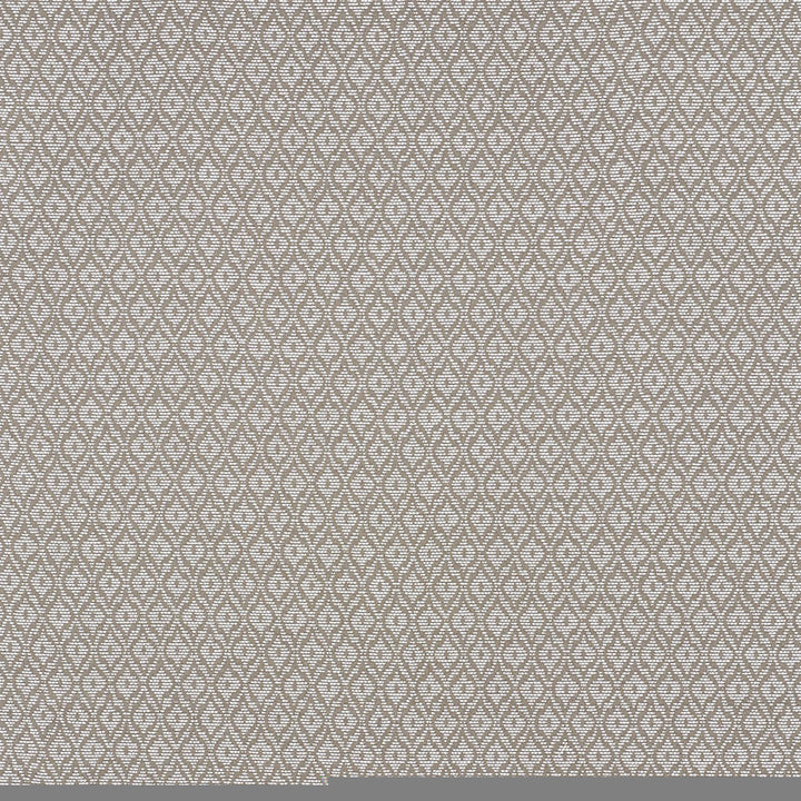 Red Hook Taupe 70550 by Schumacher Designer Fabric Essentials-Small-Scale-Upholstery-Fabrics 46% Cotton, 23% Viscose, 20% Polyester, 11% Linen - Horizontal: 1.75 and Vertical: 3.5 55 - Swanky Fabrics -