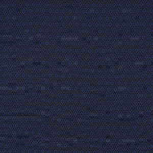 Schumacher Fabric Red Hook Midnight 70554