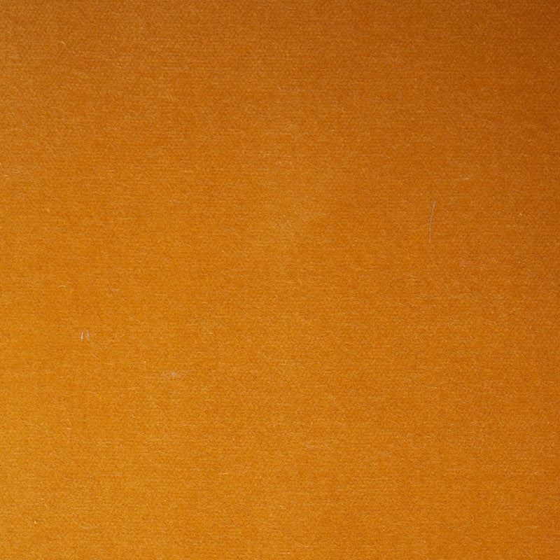 Rocky Performance Velvet Marigold 70579 by Schumacher Fabric Schumacher Fabric Rocky Performance Velvet Marigold 70579Fabric COTTON 74% UNITED STATES OF AMERICA </p><p>Repeat: H: , V: 54 - Fabric Carolina -