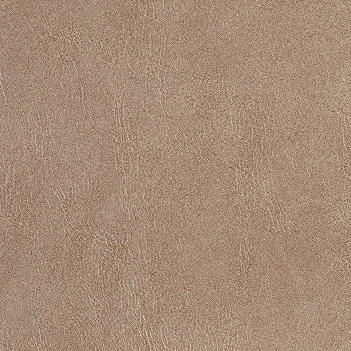 7068 Taupe by Charlotte Designer Fabric Breathable Volume II 100% Breathable Polyurethane, 26oz. Asia Exceeds 2,000,000 Wyzenbeek Double Rubs (Heavy Duty) </p><p>Repeat: 54 Inches - Swanky Fabrics -